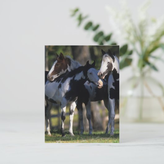 Verf paarden briefkaart (Staand voorkant)