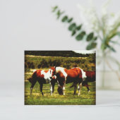 Verf paarden briefkaart (Staand voorkant)