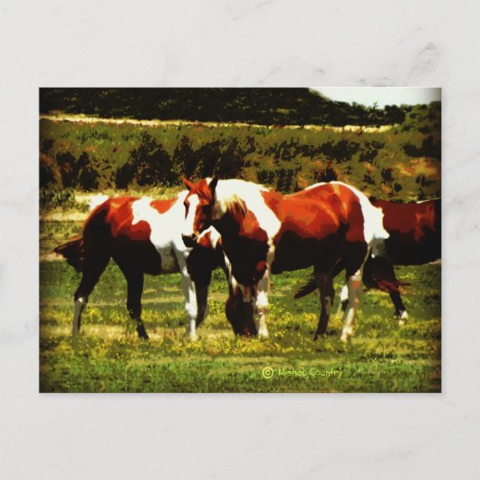 Verf paarden briefkaart (Voorkant)