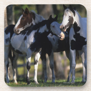 Verf paarden drankjes onderzetter