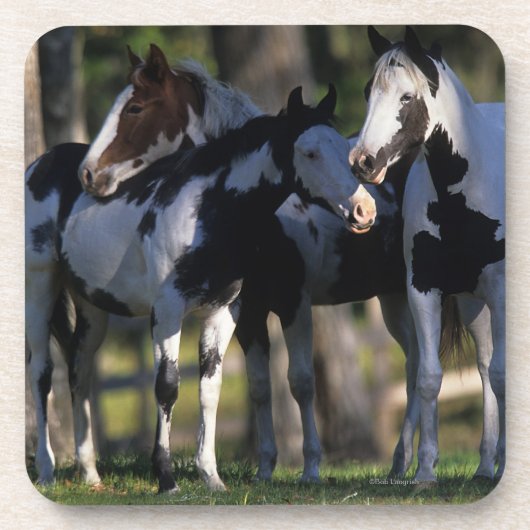 Verf paarden drankjes onderzetter (Voorkant)