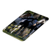 Verf paarden magneet (Linkerzijde)