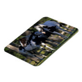 Verf paarden magneet (Linkerzijde)