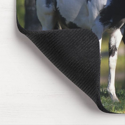 Verf paarden muismat (Hoek)