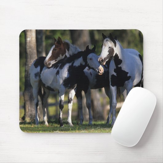 Verf paarden muismat (Met muis)