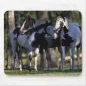 Verf paarden muismat (Voorkant)