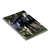 Verf paarden notitieboek (Rechterzijde)