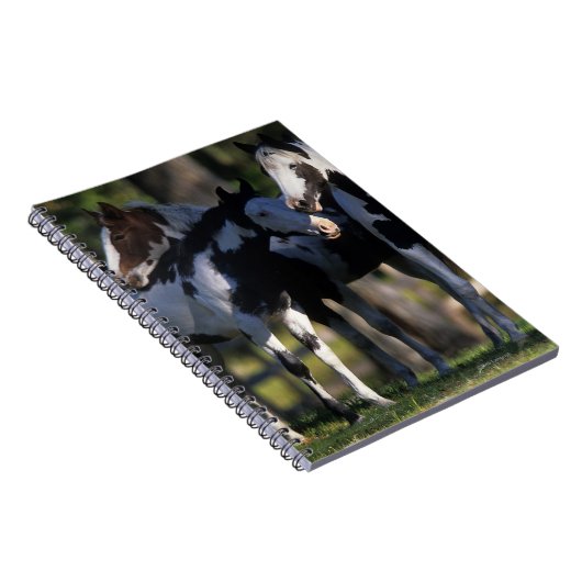 Verf paarden notitieboek (Rechterzijde)