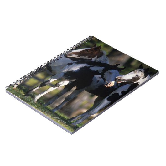 Verf paarden notitieboek (Linkerzijde)