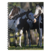 Verf paarden notitieboek (Voorkant)