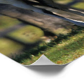 Verf paarden poster (Hoek)