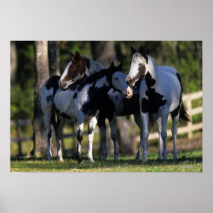 Verf paarden poster