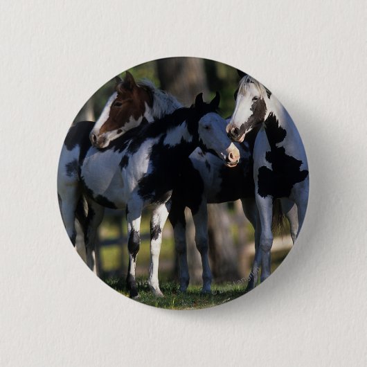 Verf paarden ronde button 5,7 cm (Voorkant)