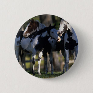 Verf paarden ronde button 5,7 cm