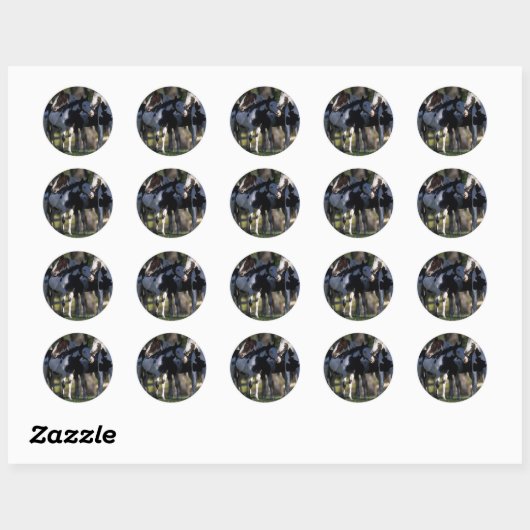 Verf paarden ronde sticker (Vel)