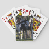 Verf paarden speelkaarten (Achterkant)