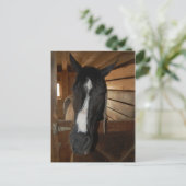 Verf/Pinto-paard Briefkaart (Staand voorkant)