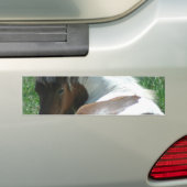 Verf Pony Restende Bumpersticker. Bumpersticker (Op auto)