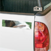 Verf Pony Restende Bumpersticker. Bumpersticker (Op Truck)