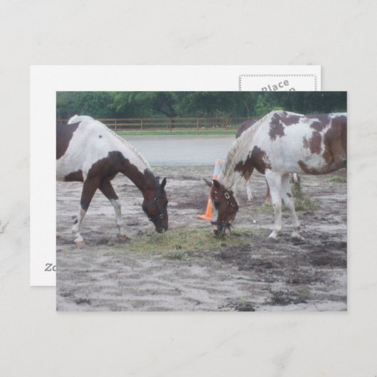 Verf-/postkaart Briefkaart (Voorkant / Achterkant)