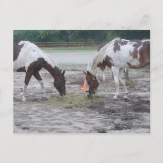 Verf-/postkaart Briefkaart