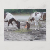 Verf-/postkaart Briefkaart (Voorkant)