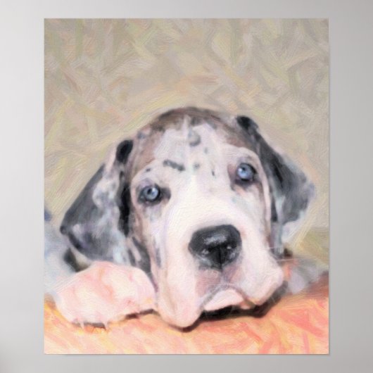 Verf: Puppy Dane Poster (Voorkant)