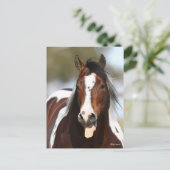 Verf Stallion met Tongue-uitschot Briefkaart (Staand voorkant)