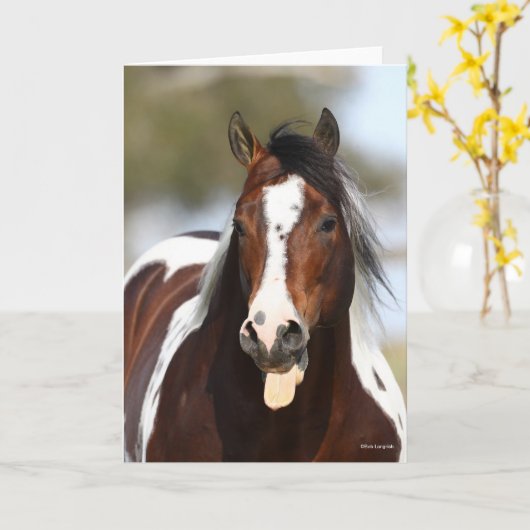 Verf Stallion met Tongue-uitschot Kaart (Gele Bloem)