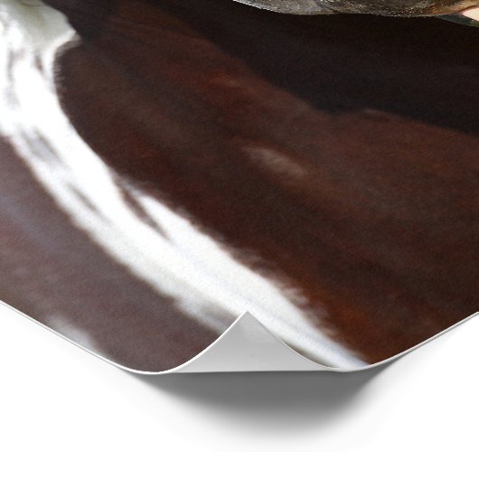 Verf Stallion met Tongue-uitschot Poster (Hoek)