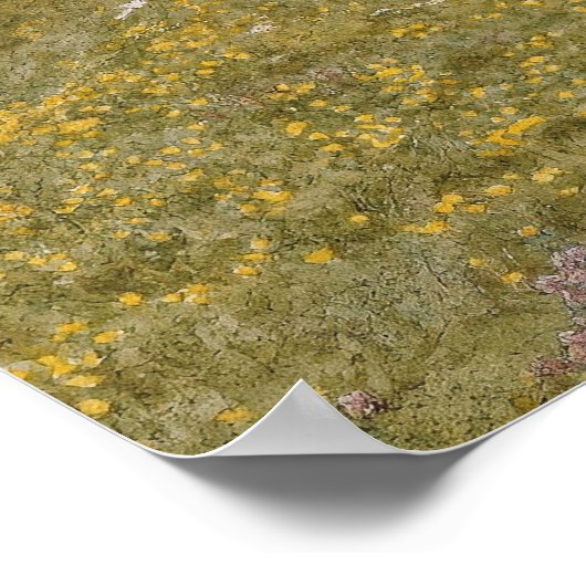  verf voor landgebruik poster (Hoek)