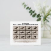 Verfaamd Bot 4 Legs Sallie Gardner Briefkaart (Staand voorkant)
