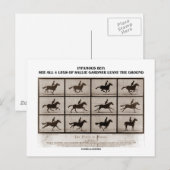 Verfaamd Bot 4 Legs Sallie Gardner Briefkaart (Voorkant / Achterkant)