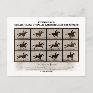 Verfaamd Bot 4 Legs Sallie Gardner Briefkaart