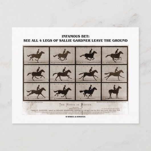 Verfaamd Bot 4 Legs Sallie Gardner Briefkaart (Voorkant)