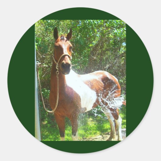 verfbad ronde sticker (Voorkant)