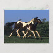 Verfbedekking loopt briefkaart (Voorkant)