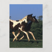 Verfbedekking loopt briefkaart (Voorkant)