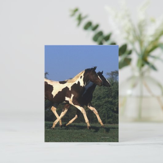 Verfbedekking loopt briefkaart (Staand voorkant)