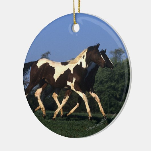 Verfbedekking loopt keramisch ornament (Links)