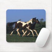 Verfbedekking loopt muismat (Met muis)