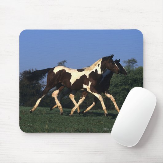 Verfbedekking loopt muismat (Met muis)