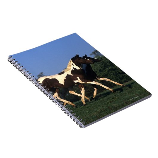 Verfbedekking loopt notitieboek (Rechterzijde)