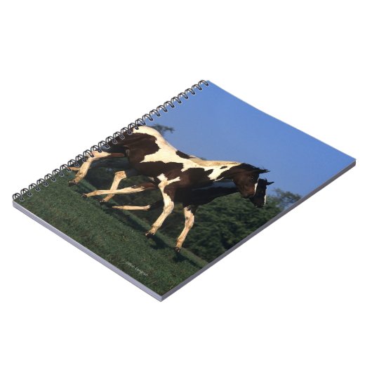 Verfbedekking loopt notitieboek (Linkerzijde)