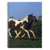 Verfbedekking loopt notitieboek (Voorkant)