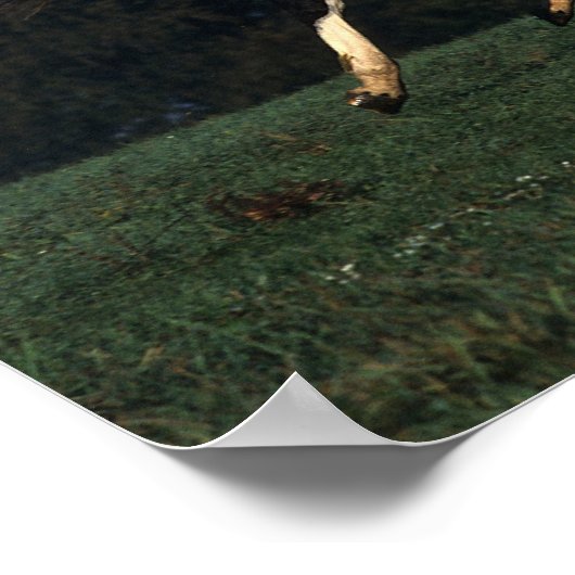 Verfbedekking loopt poster (Hoek)