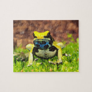 Verfgifkikker, Dendrobates tinctorius Legpuzzel