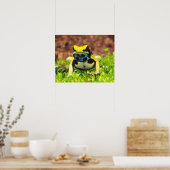 Verfgifkikker, Dendrobates tinctorius Poster (Keuken)