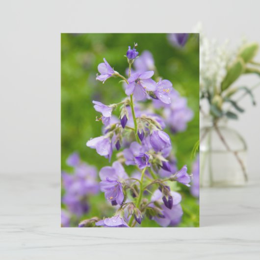 Verfijn blauwe bloemen op een groen veld in een le (Staand voorkant)