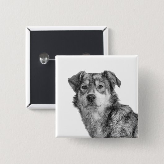 Verfijnd monochroom groot gemengd ras hond vierkante button 5,1 cm (Voorkant /achterkant)